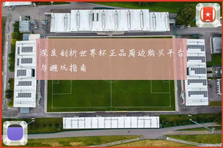深度剖析世界杯正品周边购买平台与避坑指南