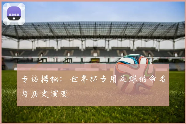 专访揭秘：世界杯专用足球的命名与历史演变