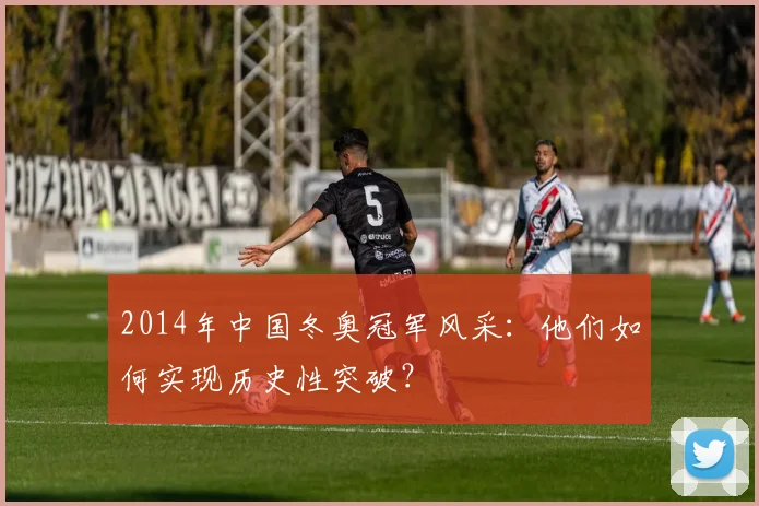 2014年中国冬奥冠军风采：他们如何实现历史性突破？