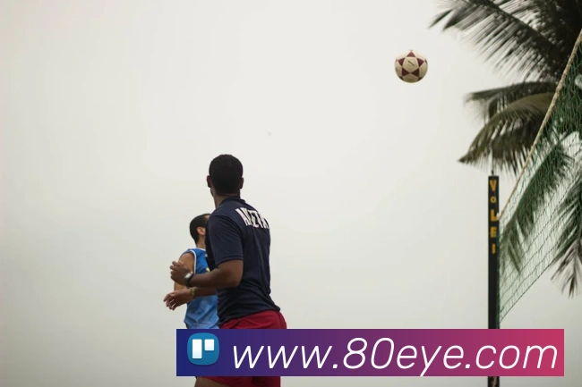 emc体育中国平台生态图